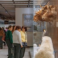 Мужское и Женское :: Николай Нестеренко