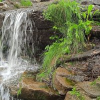 Радуга-парк :: Елена Шаламова