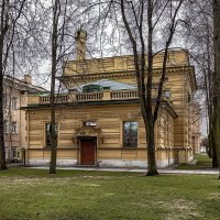 Сквозь кружево ветвей :: Евгений 