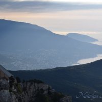 Природа Крыма :: Amazing Cosmea