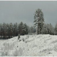 *** :: Aleksandr Gal