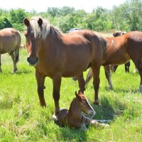 При маме. :: Виктор 