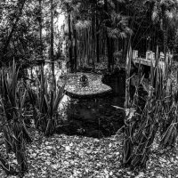 135 лет одиночества :: Eugene * 135 лет одиночества :: Eugene *