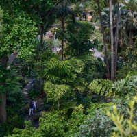 Зелёный мир... :: Dmitriy Dikikh