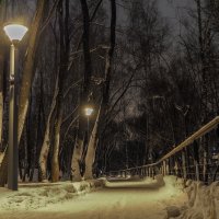 Зимний Вечер в Парке :: юрий поляков