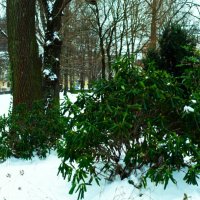 Зелёный островок в центре города :: Aida10 