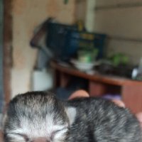 2 дня от рождения) :: Prizrak 777