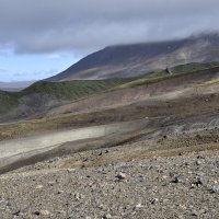 *** :: Марина Виноградова