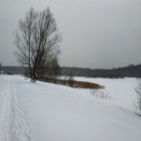 ЧБ графика зимы :: Андрей Лукьянов