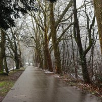 Непогода нынче в моде :: Юрий. Шмаков