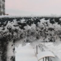 Снежный "пух" :: Людмила Жданова