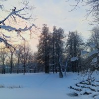 Рассвет :: Сапсан 