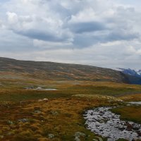 Тундра :: Aleksey Afonin Тундра :: Aleksey Afonin