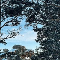 Горная мечта :: Георгиевич Горная мечта :: Георгиевич