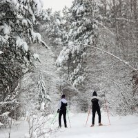 В сказку зимнего леса! :: Владимир В сказку зимнего леса! :: Владимир