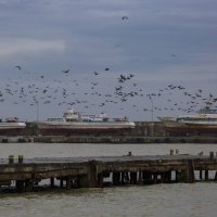 зимний приморский пейзаж :: Елена Агеева