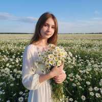 28 января - Всемирный день ромашки :: Валерий Иванович