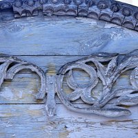 Томские цветочки :: Татьяна Лютаева