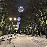 Зимние аллейки. :: Валерия Комова