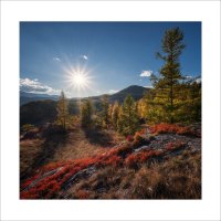 * :: Александр Иванов