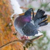 С добрым утром! :: Sergey (Apg)