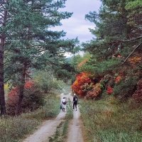 Соединение с осенней природой :: Мариша 