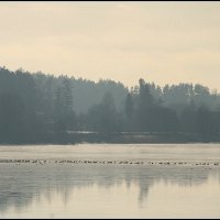 *** :: Aleksandr Gal