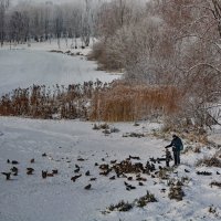 ... :: Анастасия Смирнова