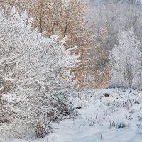 ... :: Анастасия Смирнова