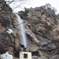 Природа Крыма :: Amazing Cosmea Природа Крыма :: Amazing Cosmea