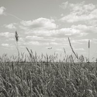 Фотография :: Денис Безногов