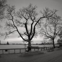 *** :: Сергей Григорьев