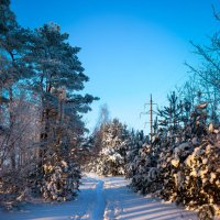 *** :: Игорь Чичиль