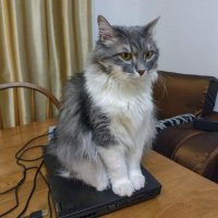 "Надёжней любого замка" . :: LudMila 