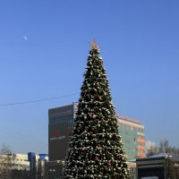 Мороз и солнце :: Vlad Сергиевич