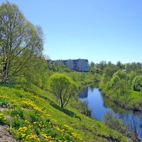 Чудово, река Кересть. :: Лия ☼