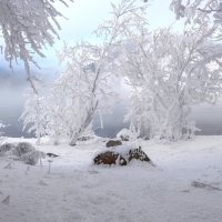 Зимний лес :: Марина Фомина. Зимний лес :: Марина Фомина.