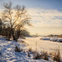Морозная дымка в лучах зимнего солнца :: Валерий VRN