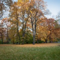 Ещё про осень... :: Лилия *