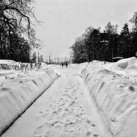 ***** :: Алексей Архипов