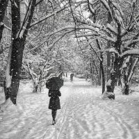 Cнегопад :: Юрий Лев