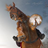 Про страшное. :: игорь 