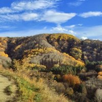 Осеннее разноцветье :: Мариша 