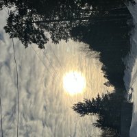 В Простоквашино :: Эльвира Белянская В Простоквашино :: Эльвира Белянская