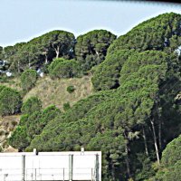 По Франции, на автобусе. :: Владимир Драгунский По Франции, на автобусе. :: Владимир Драгунский