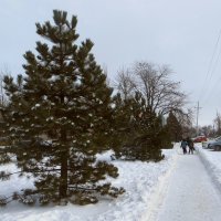 Дорога в школу :: Татьяна Смоляниченко Дорога в школу :: Татьяна Смоляниченко