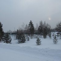 Парк-Арена :: Андрей Макурин