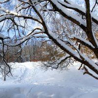 Зимний пейзаж. :: Милешкин Владимир Алексеевич 
