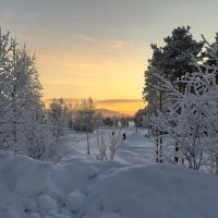 Зимние зори :: Ольга 