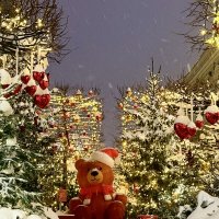 Зимняя сказка 2026 :: Iren Brilliance